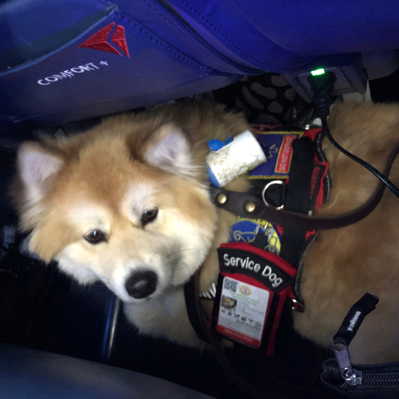 Meet your Posher, Jeff - Picture 1 of 8